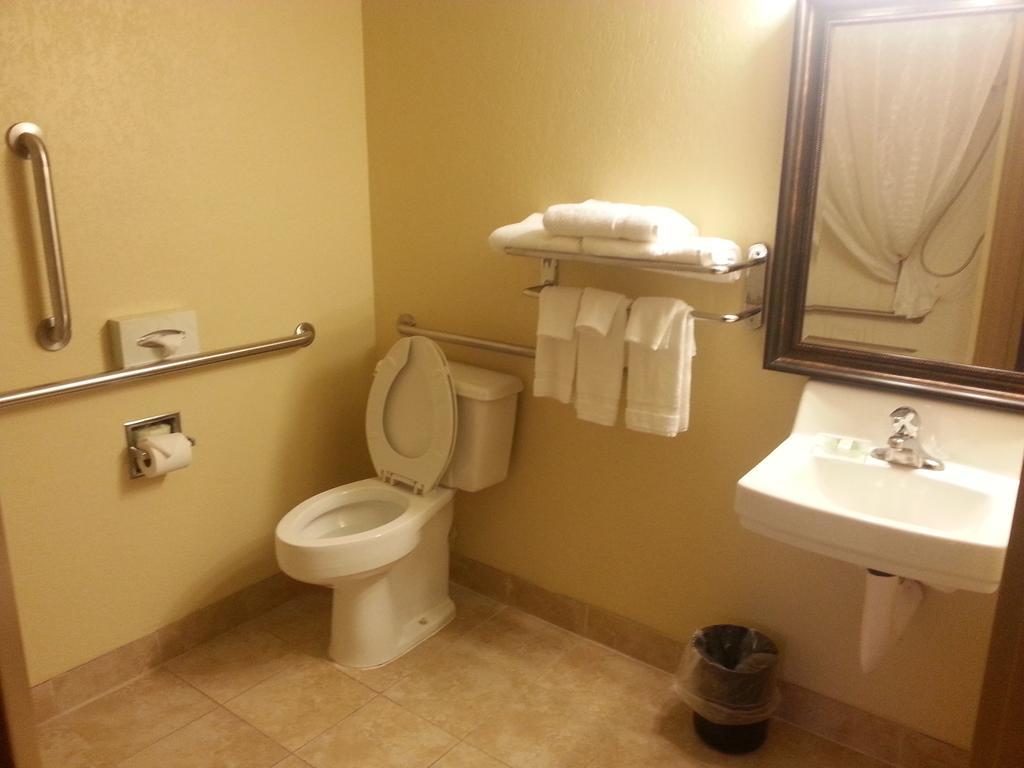 Quality Inn & Suites Saginaw Oda fotoğraf