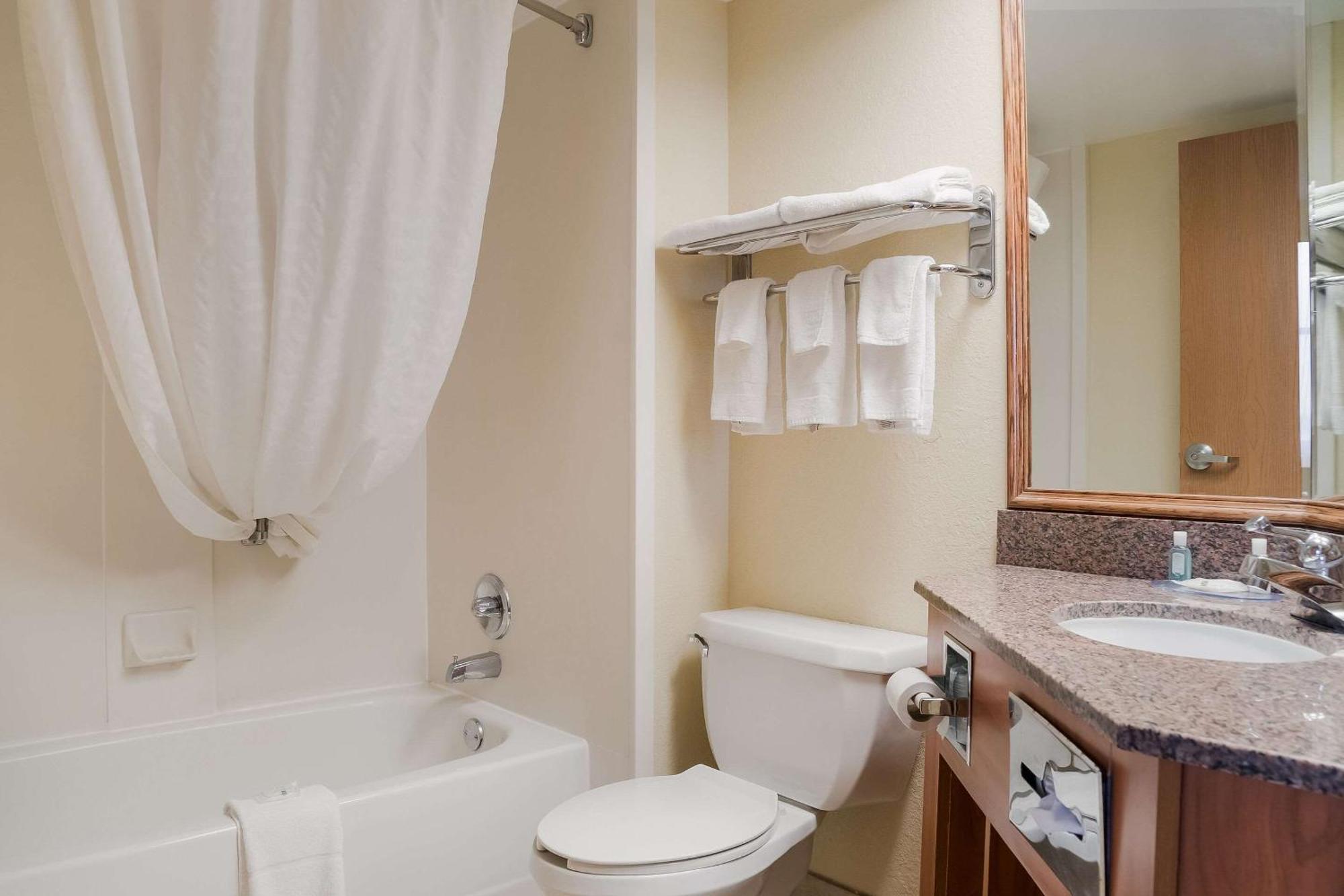 Quality Inn & Suites Saginaw Dış mekan fotoğraf