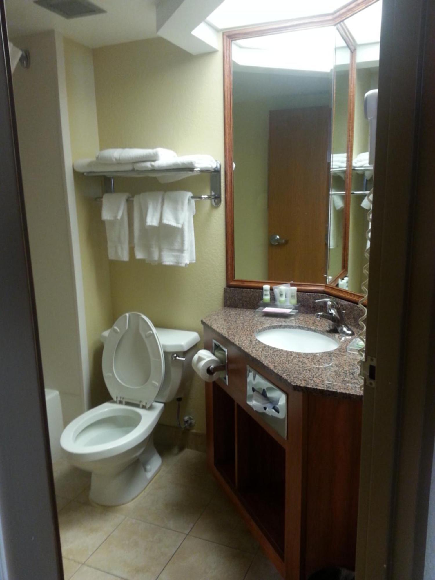 Quality Inn & Suites Saginaw Dış mekan fotoğraf