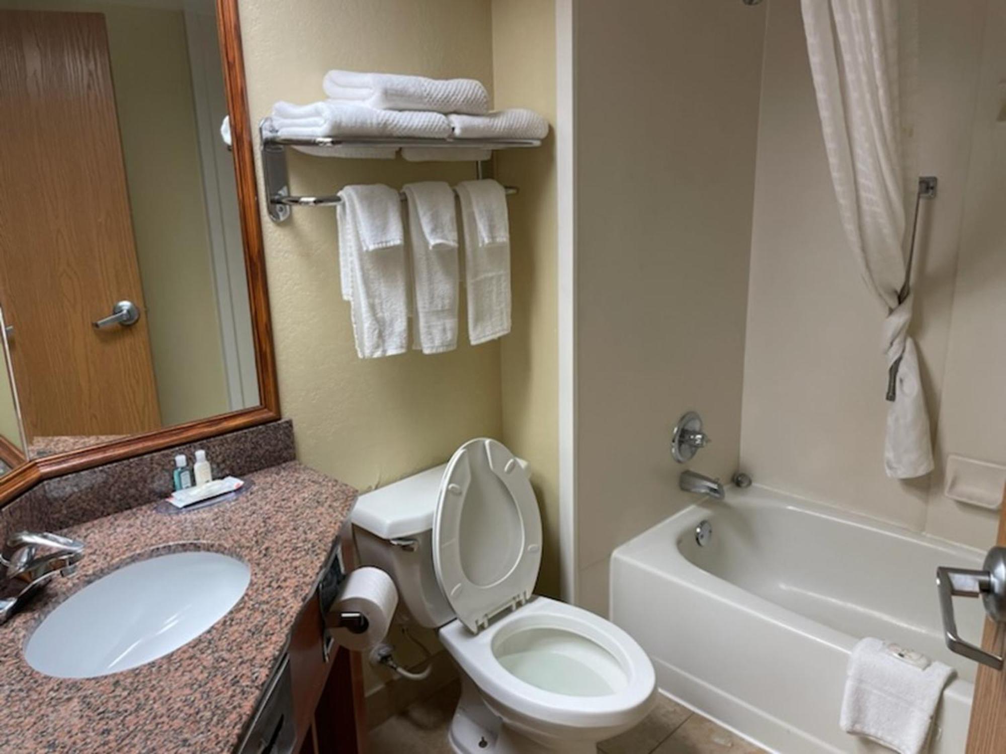 Quality Inn & Suites Saginaw Dış mekan fotoğraf