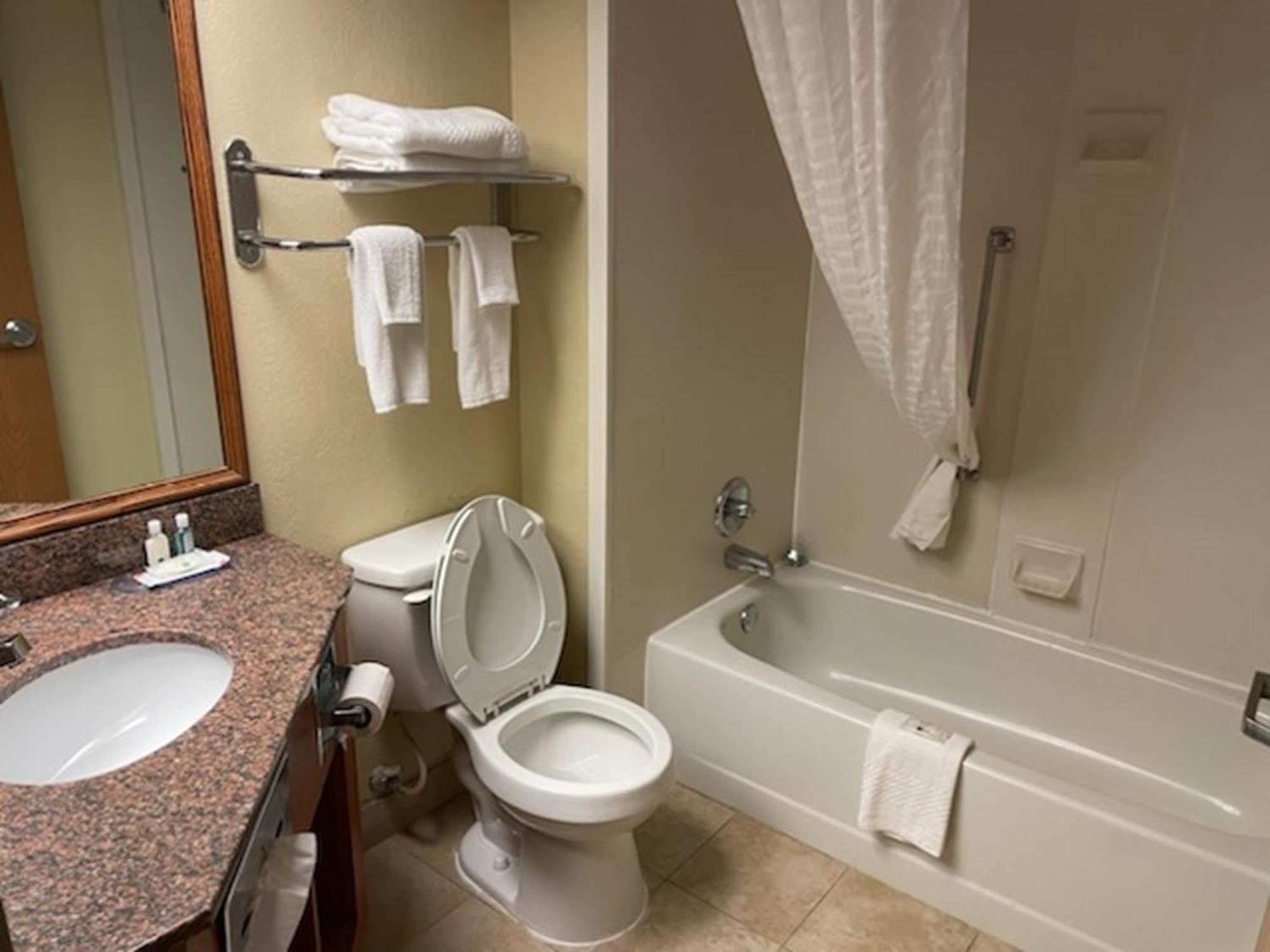 Quality Inn & Suites Saginaw Dış mekan fotoğraf